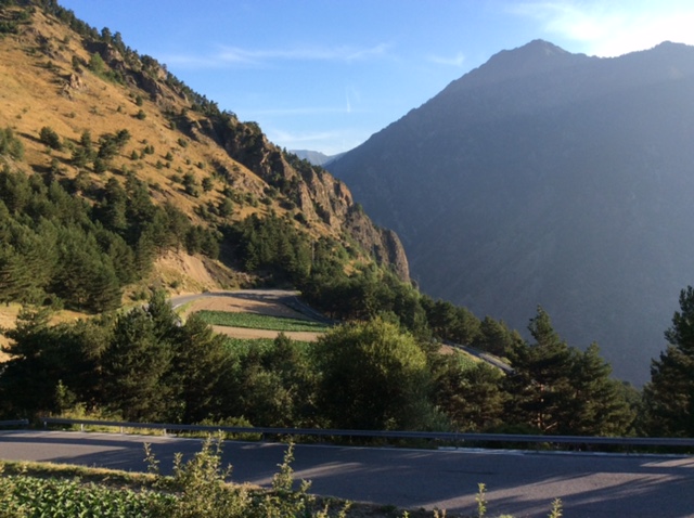 51910B1A-0D56-4F67-9A0F-62C4EF5D4758